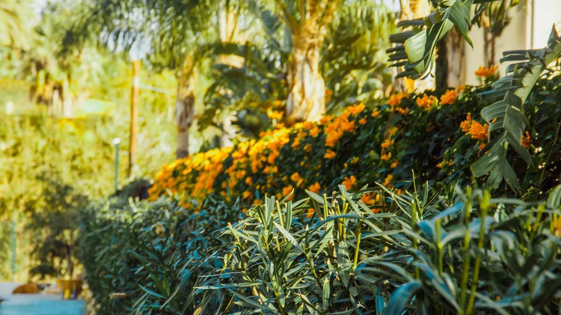 Szálloda Sierra Blanca Resort Art Of Healing Marbella